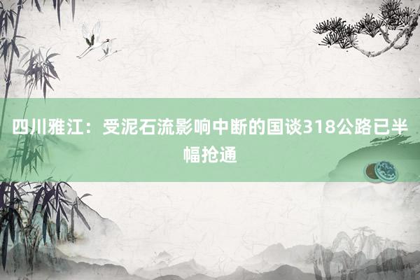 四川雅江：受泥石流影响中断的国谈318公路已半幅抢通