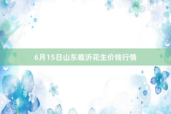 6月15日山东临沂花生价钱行情