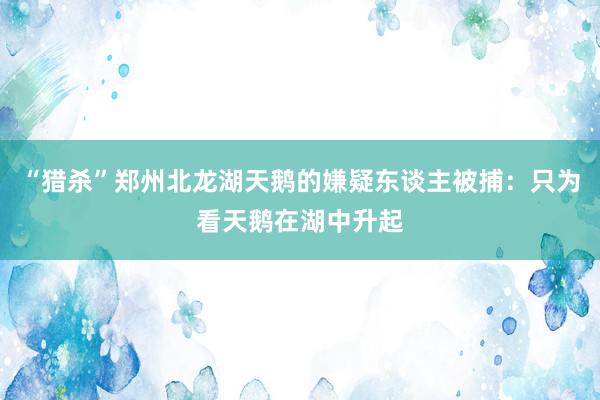 “猎杀”郑州北龙湖天鹅的嫌疑东谈主被捕：只为看天鹅在湖中升起