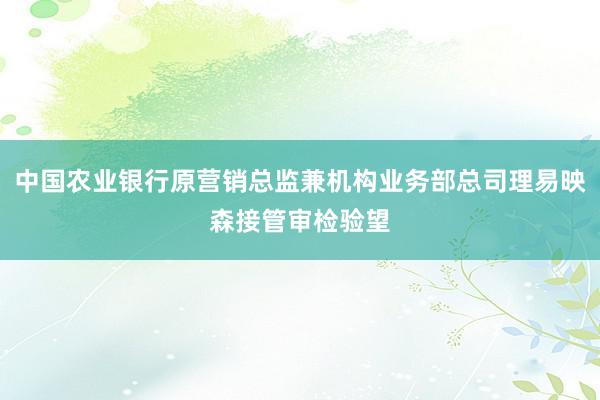 中国农业银行原营销总监兼机构业务部总司理易映森接管审检验望