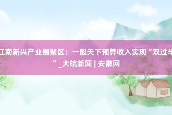 江南新兴产业围聚区：一般天下预算收入实现“双过半”_大皖新闻 | 安徽网