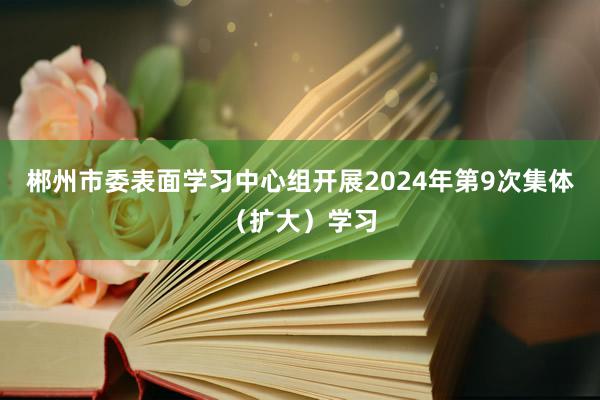 郴州市委表面学习中心组开展2024年第9次集体（扩大）学习