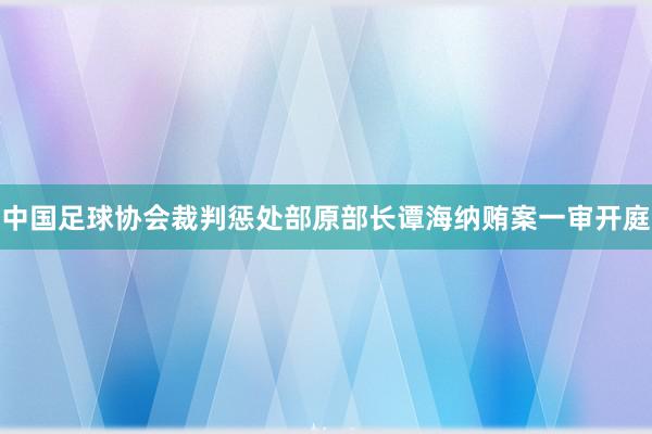 中国足球协会裁判惩处部原部长谭海纳贿案一审开庭