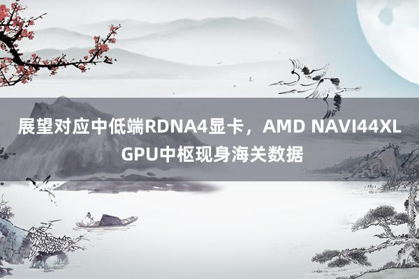 展望对应中低端RDNA4显卡，AMD NAVI44XL GPU中枢现身海关数据