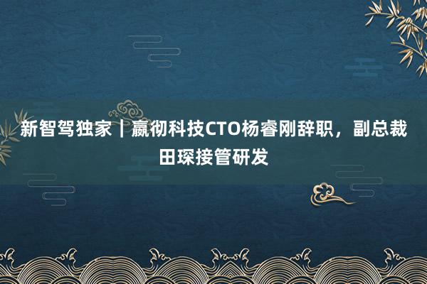 新智驾独家｜嬴彻科技CTO杨睿刚辞职，副总裁田琛接管研发