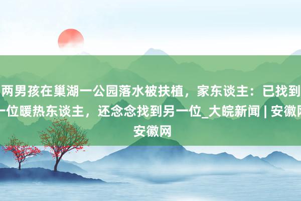 两男孩在巢湖一公园落水被扶植，家东谈主：已找到一位暖热东谈主，还念念找到另一位_大皖新闻 | 安徽网