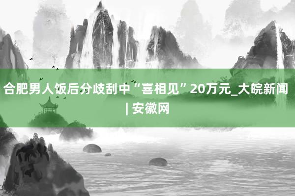 合肥男人饭后分歧刮中“喜相见”20万元_大皖新闻 | 安徽网