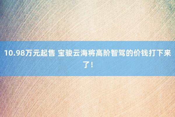 10.98万元起售 宝骏云海将高阶智驾的价钱打下来了！