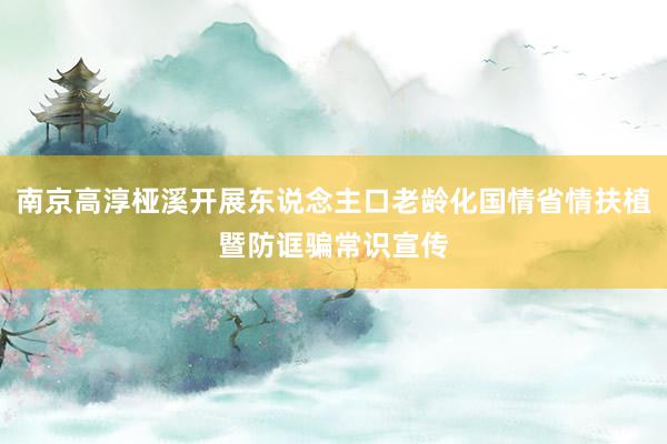 南京高淳桠溪开展东说念主口老龄化国情省情扶植暨防诓骗常识宣传