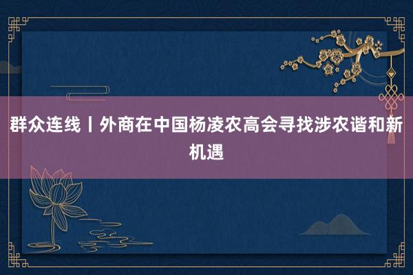 群众连线丨外商在中国杨凌农高会寻找涉农谐和新机遇