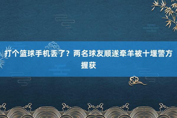 打个篮球手机丢了？两名球友顺遂牵羊被十堰警方握获