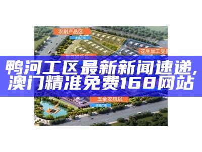 鸭河工区最新新闻速递, 澳门精准免费168网站