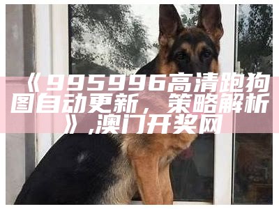 《995996高清跑狗图自动更新，策略解析》, 管家婆正版内部精选大全