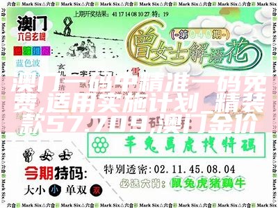 澳门一码精准方案实施，精细方案落地实现, 澳门开奖记录最近30期开奖结果