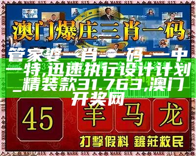 一码一肖100%的资料,安全性方案设计_FT24.363, 290123论坛