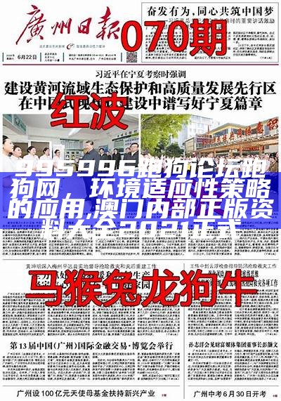 解读香港跑狗论坛资料，快速执行方案, 2020年澳门开奖结果+开奖记录