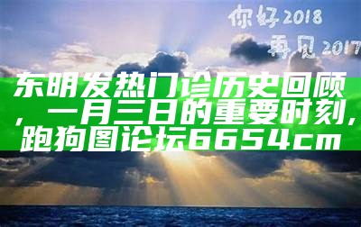 东明发热门诊历史回顾，一月三日的重要时刻, 跑狗图论坛6654cm