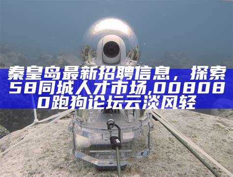 秦皇岛最新招聘信息，探索58同城人才市场, 008080跑狗论坛云淡风轻