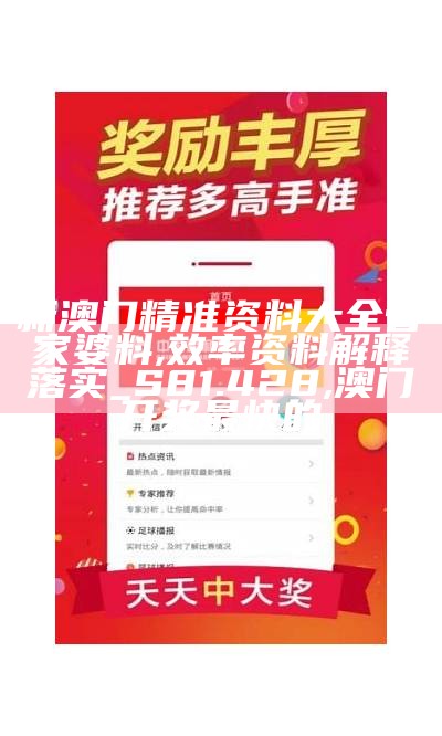 新澳门精准资料大全管家婆料,效率资料解释落实_S81.428, 澳门开奖最快的