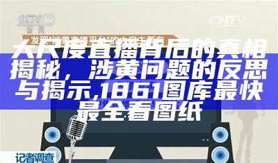 日韩电视直播发展与涉黄问题探讨，行业现状及其挑战, 澳门高手论坛高手资料大全